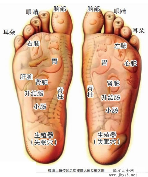 足底按摩图