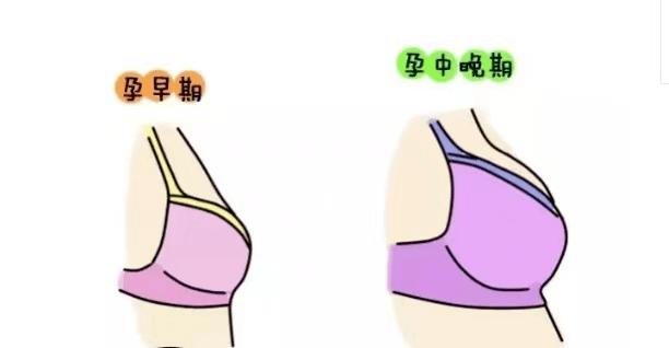 为什么女人的乳头会变黑？