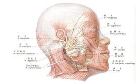 面部神经炎