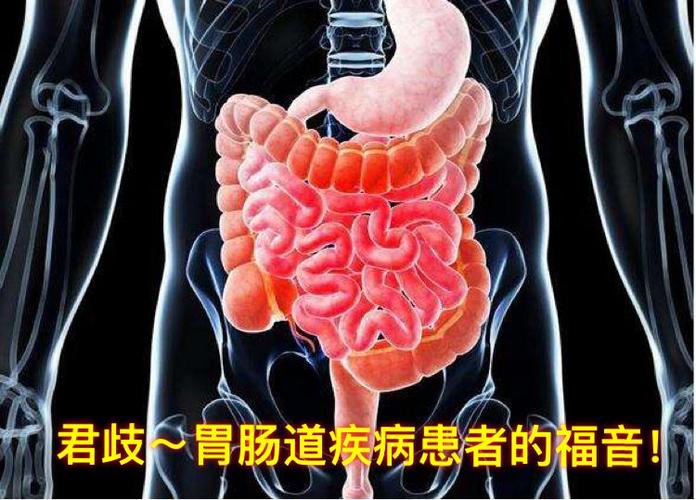胃营养液的作用副作用(胃营养液的作用副作用大吗)