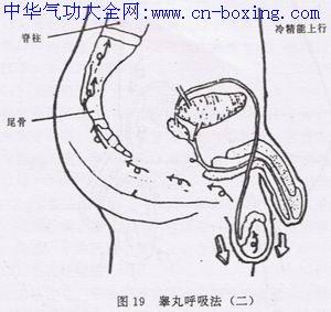 如何做到交而不泄 如何训练而不泄而不泄