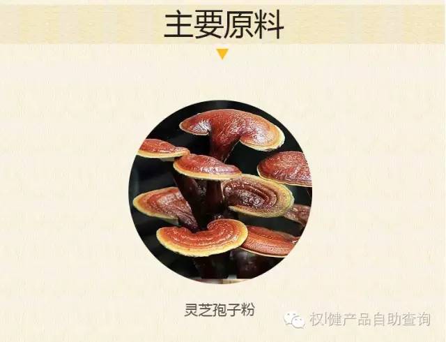 灵芝孢子粉的功效和作用(灵芝破壁孢子的功效作用与禁忌)