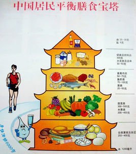 中国居民饮食指南