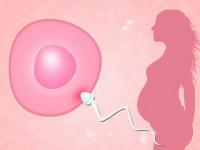 女人下面好大的原因是什么 如何解决女性下面的好大问题？