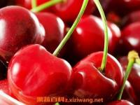 樱桃的营养价值与食用功效,樱桃的营养价值与食用功效草莓