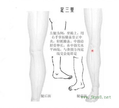 神穴＂足三里＂7大养生好处 调理脾胃