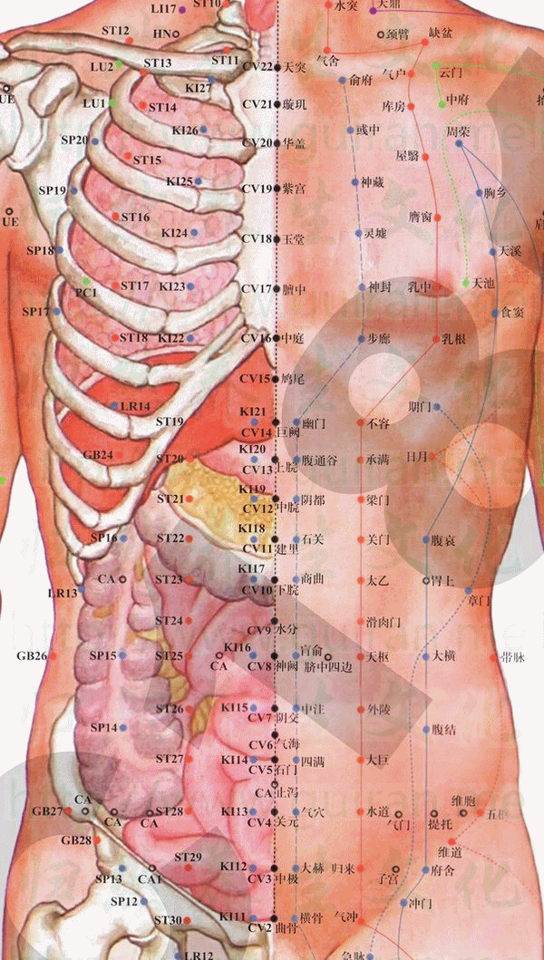 食窦穴：脾经(图文)