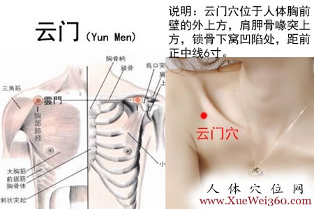 云门穴的准确位置图