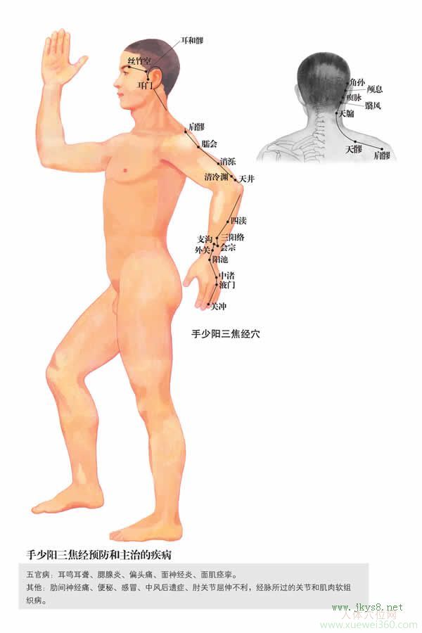 角孙穴：三焦经(图文)