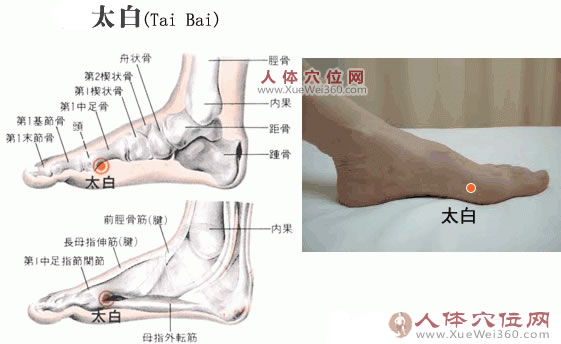 太白穴的准确位置图