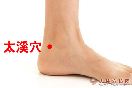 太溪穴位位置图