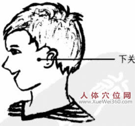 下关穴的准确位置图