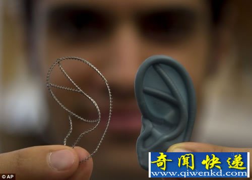 实验室成功培育出 可替代性耳朵组织